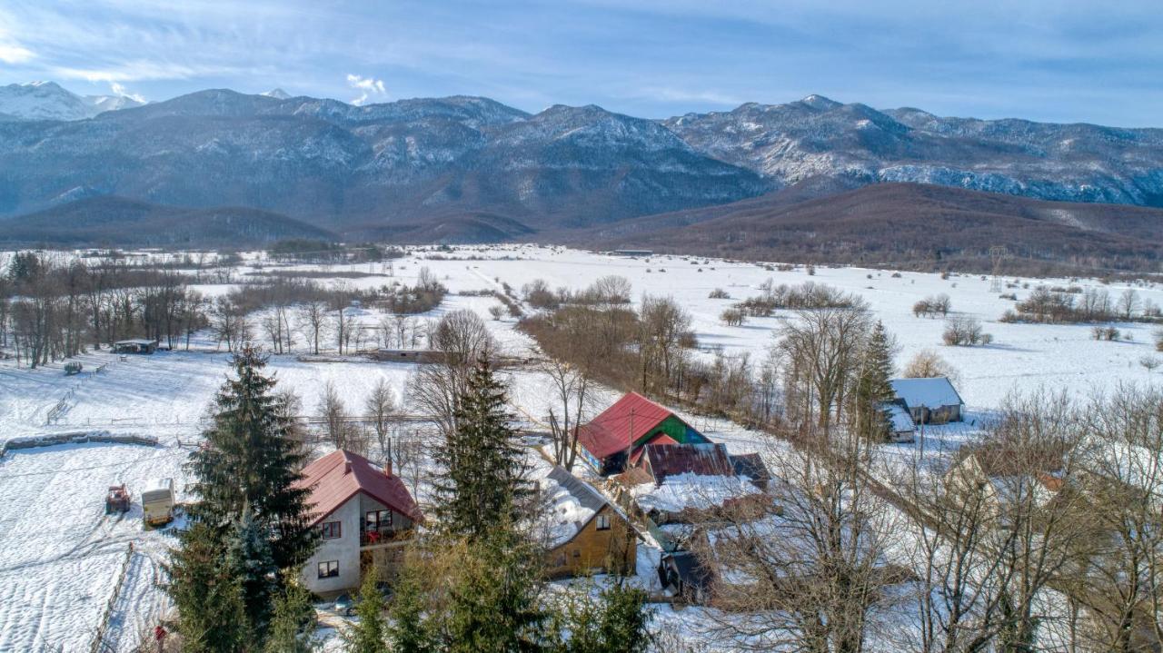 House Under The Velebit Mountain Villa Medak Dış mekan fotoğraf