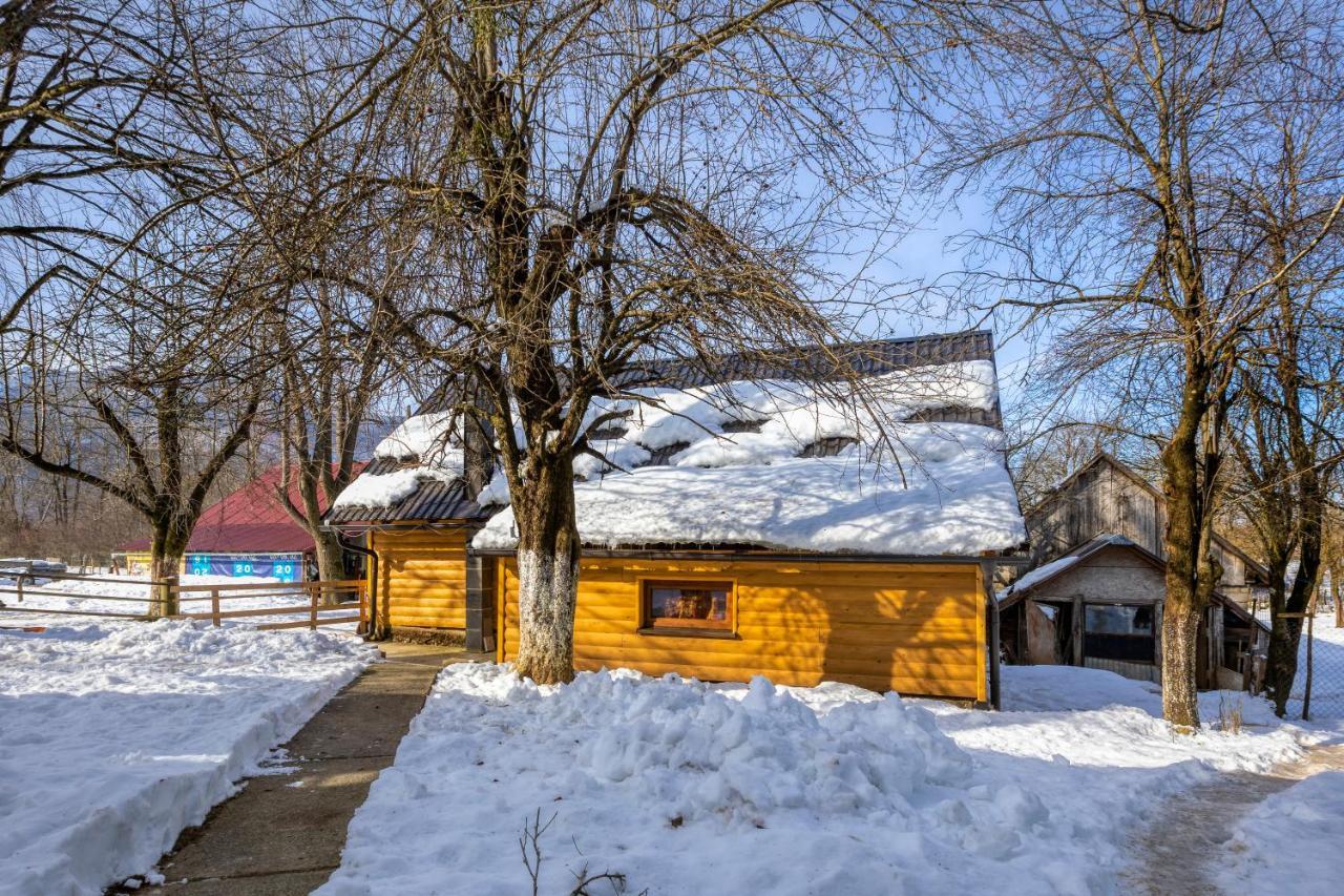 House Under The Velebit Mountain Villa Medak Dış mekan fotoğraf